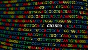 CRISPR (CRSP) logo within a DNA sequence