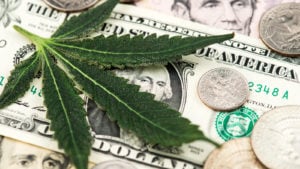 The 3 Most Undervalued Cannabis Stocks to Buy: October 2023