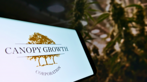 3 Marijuana Penny Stocks to Buy Before the Cannabis Crazes Ignites Again
