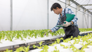 3 Stock Picks to Ride the Vertical Farming Wave