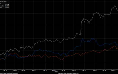 The AI Boom Will Light A Fire Under Server Stocks In ’24