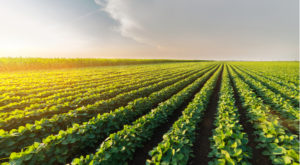 Food Security Shakeup: 3 AgriTech Stocks to Own