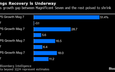 How to Prepare for the Great Stock Market Broadening of 2024