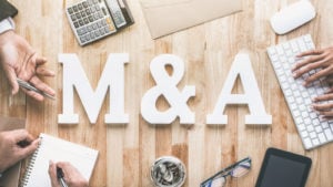 The 3 Most Undervalued Software Stocks to Buy in July 2024