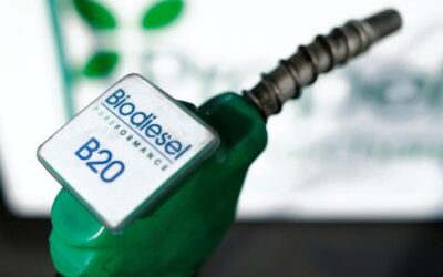 Less than half of projected U.S. renewable diesel output likely by 2025 – study
