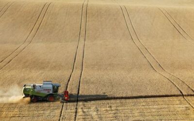 Russia temporarily bans grain exports to ex-Soviet countries
