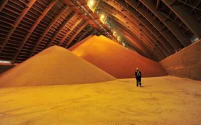 Fertilizer sector set for biggest profits in years on Russia-Ukraine conflict