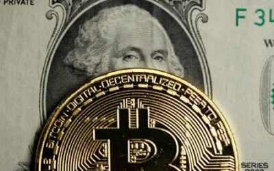Cryptoverse: Venture capitalists catch crypto fever
