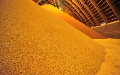 Nutrien bolsters profit forecast on surging fertilizer prices